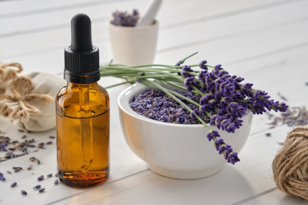 Best aromatherapy oils: A comprehensive guide