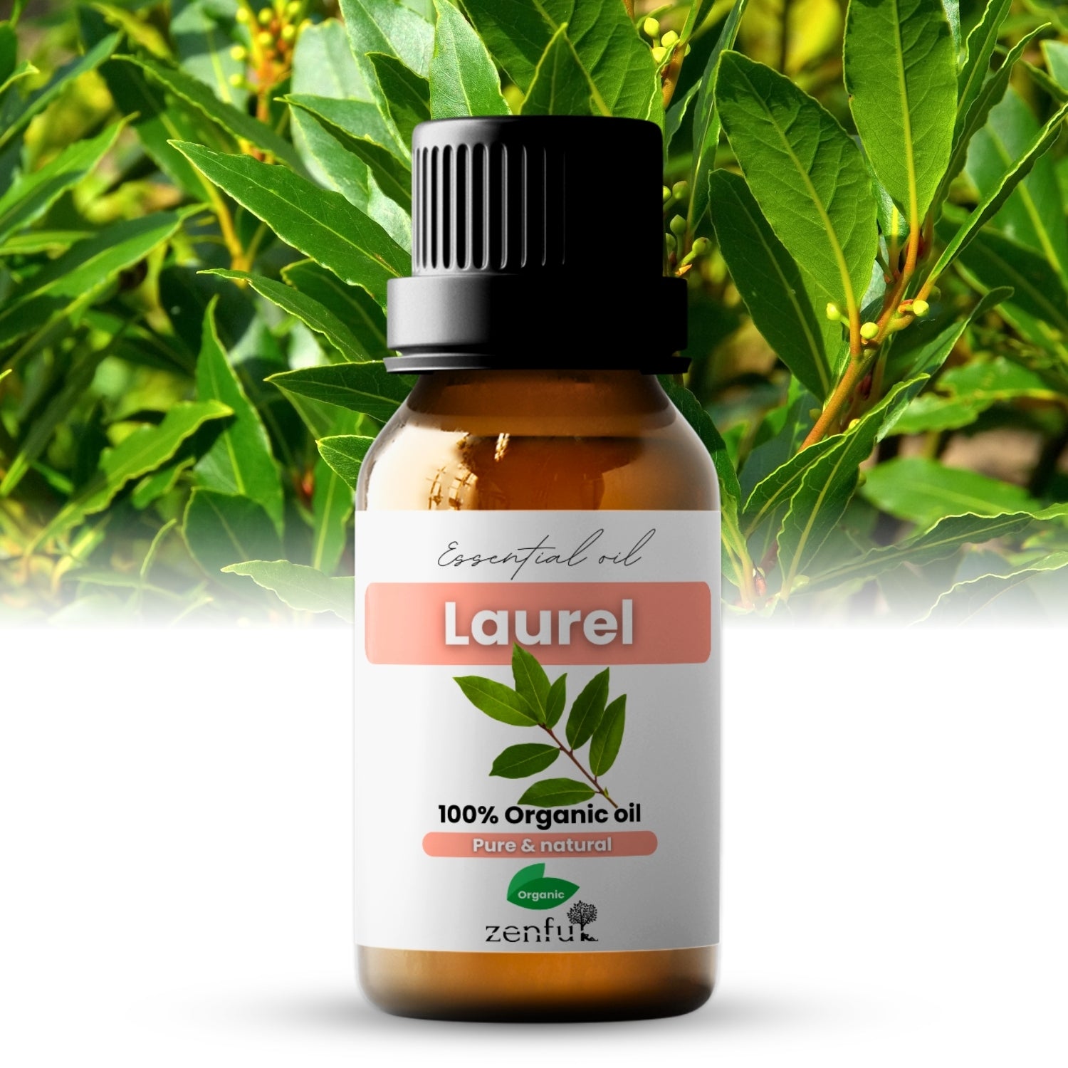 Biologische laurierolie (blad)