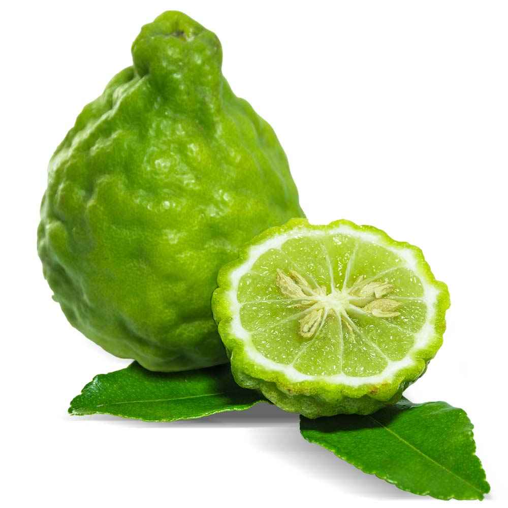 Bergamot oil organic