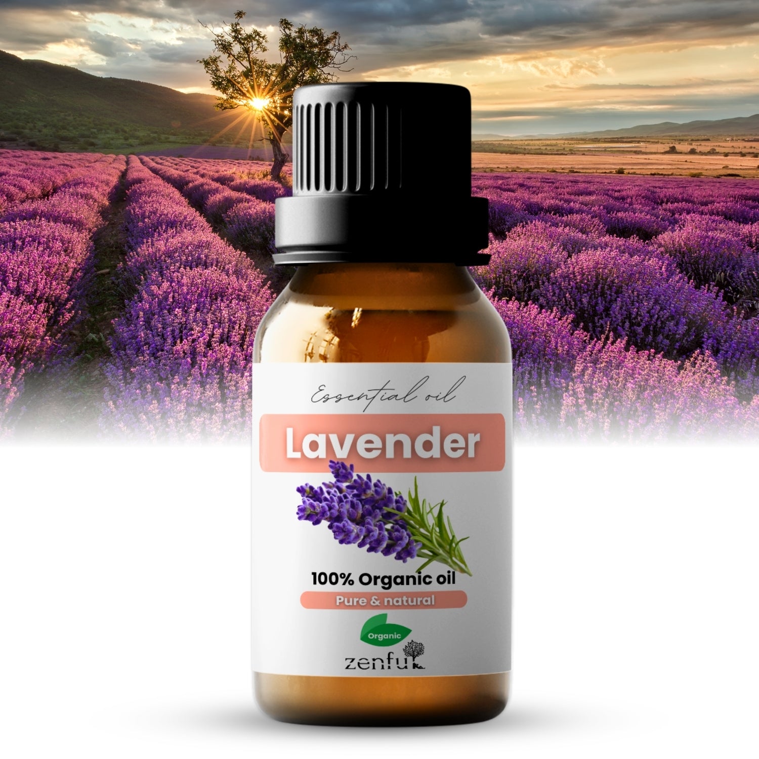 Bulgaarse lavendel etherische olie biologisch
