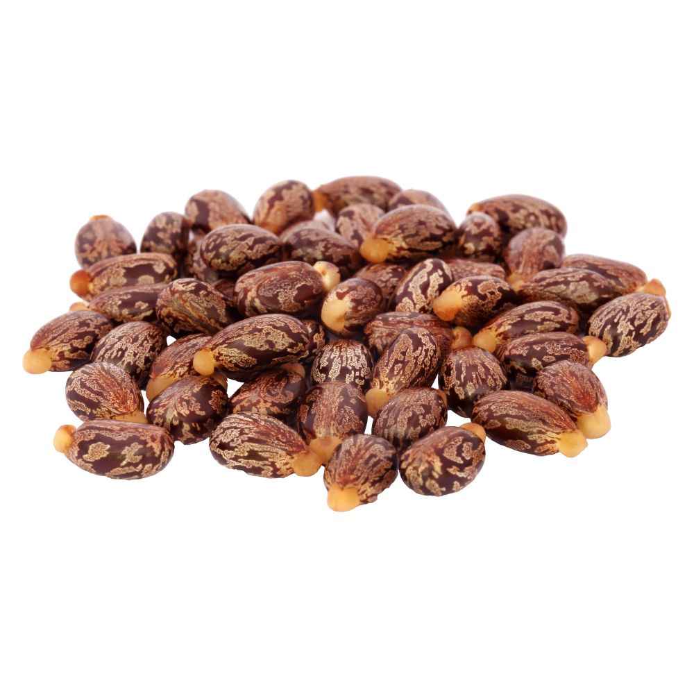 Castor oil | Organic, pure & cold-pressed
