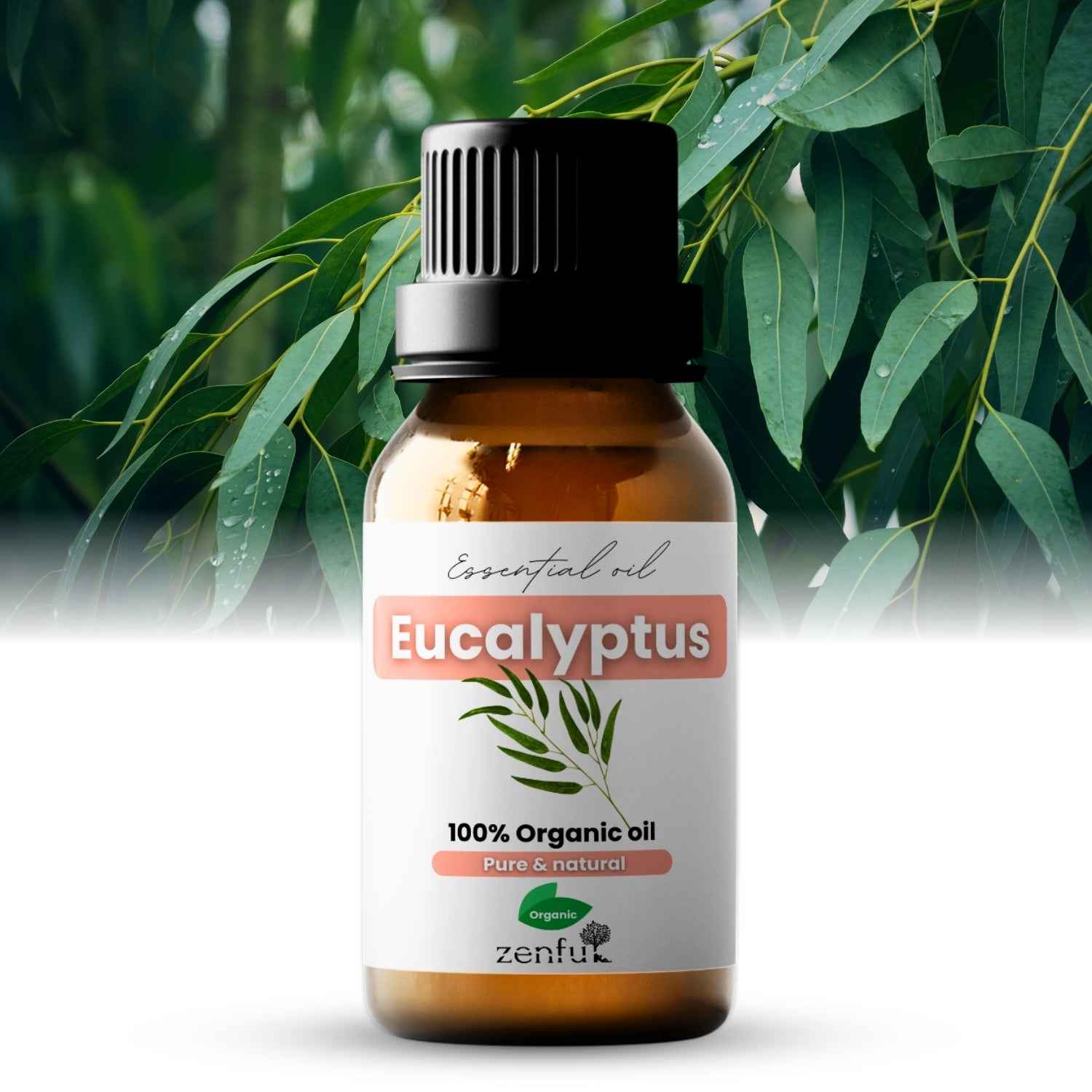 Eucalyptus oil organic