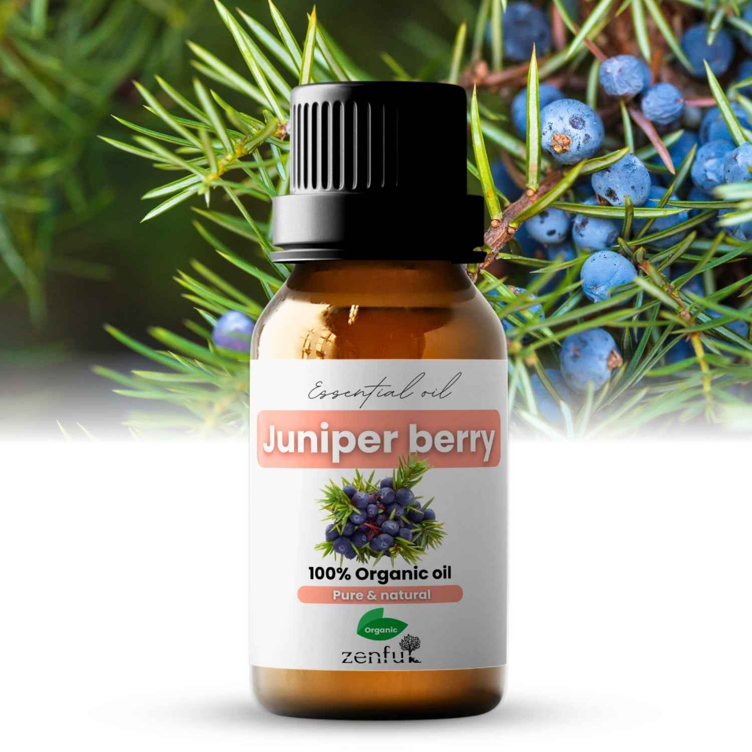 Juniper berry essential oil organic