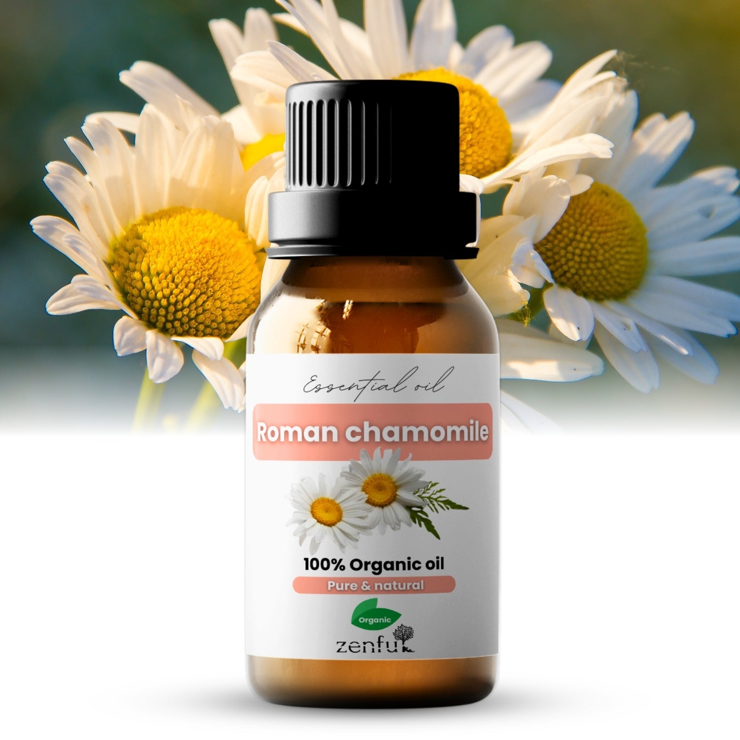 Roman chamomile essential oil organic