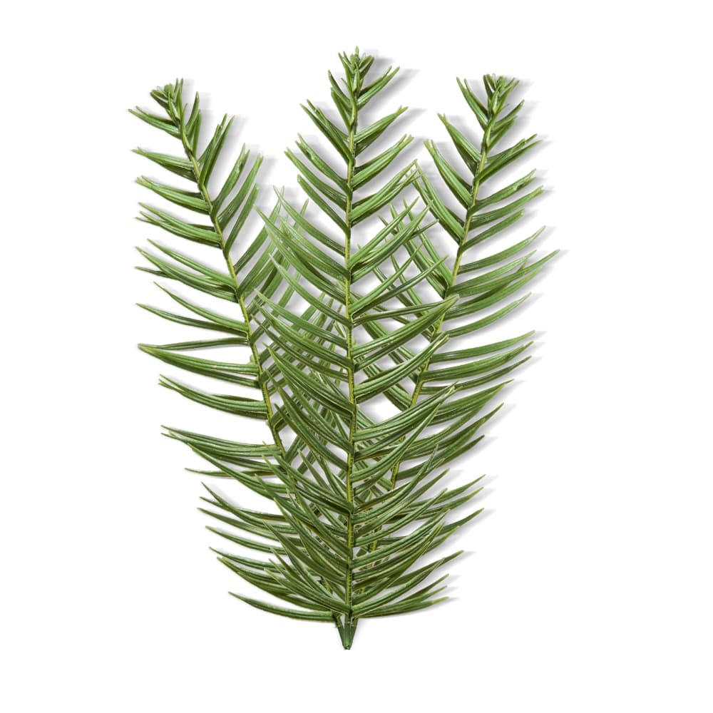 Rozemarijnolie biologisch