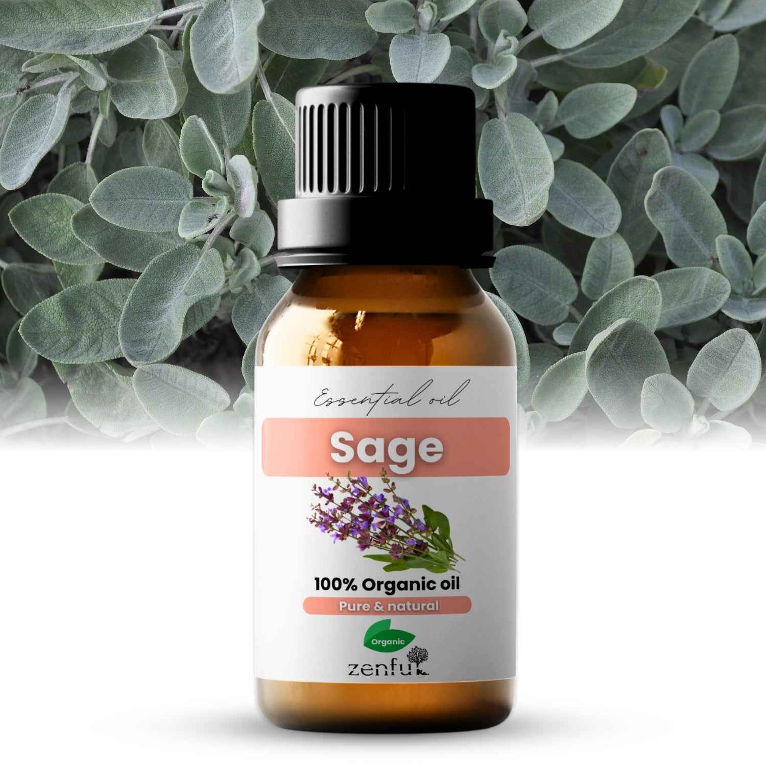 Sage oil organic