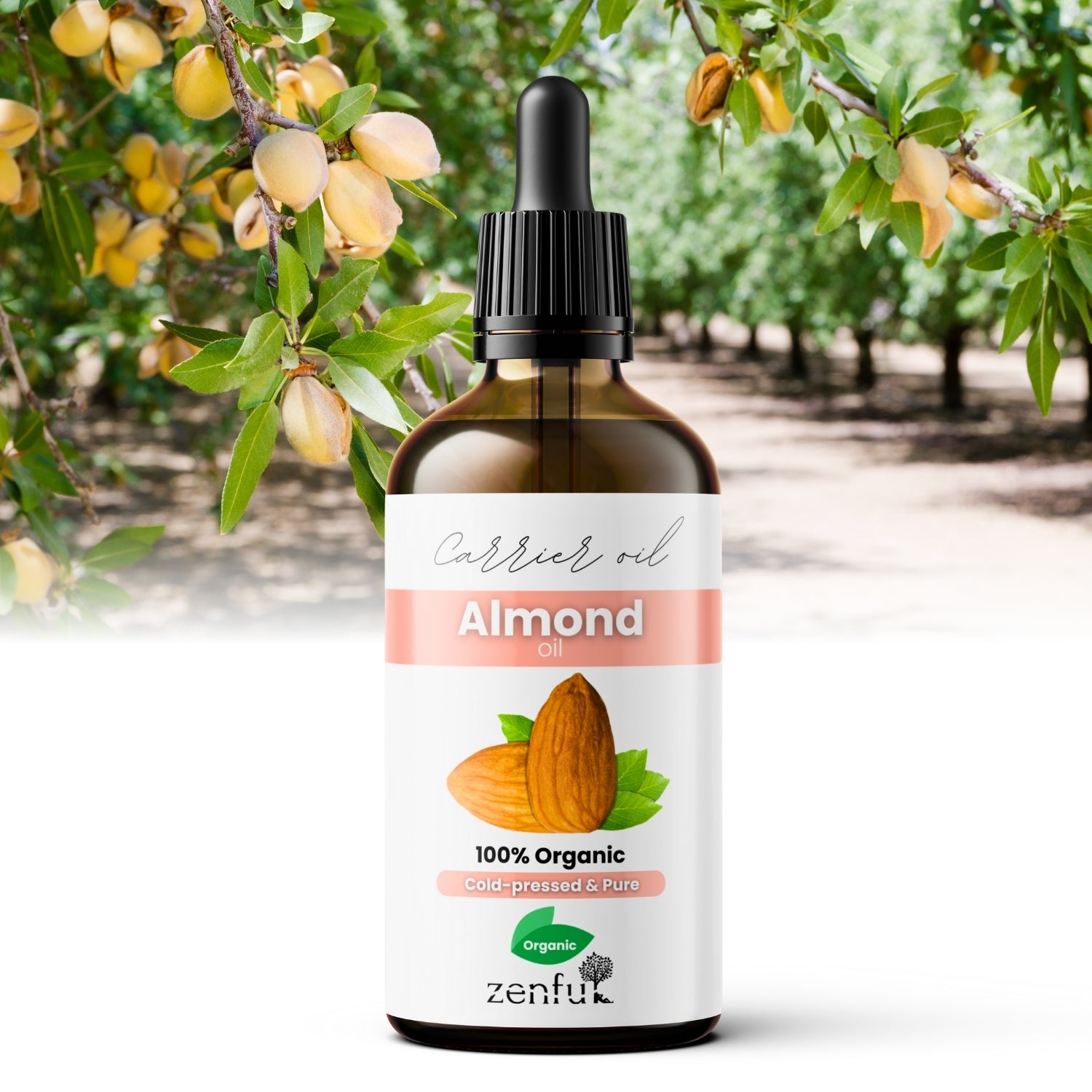 Sweet almond oil | Organic, pure & cold-pressed