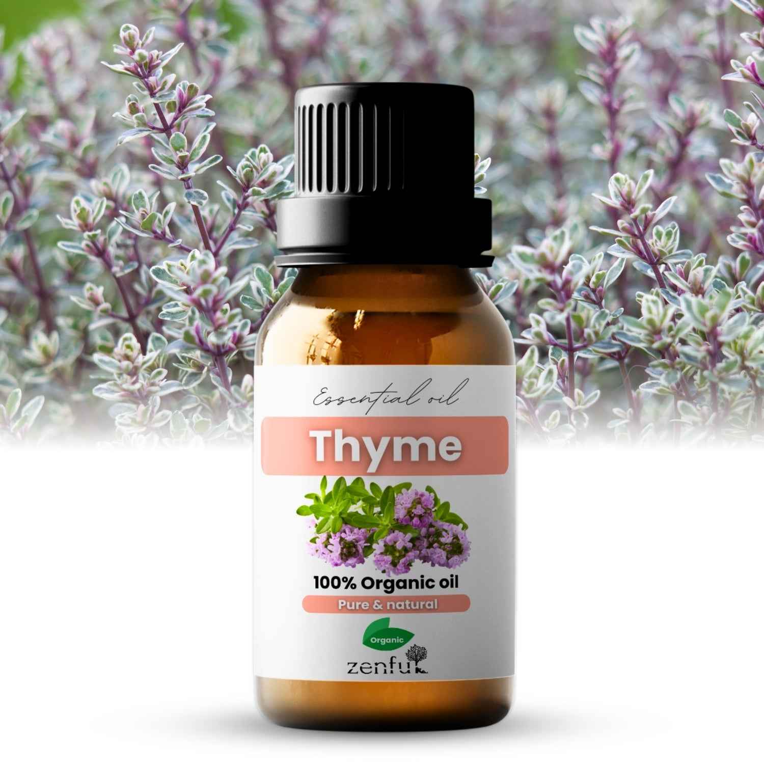 Thyme essential oil organic