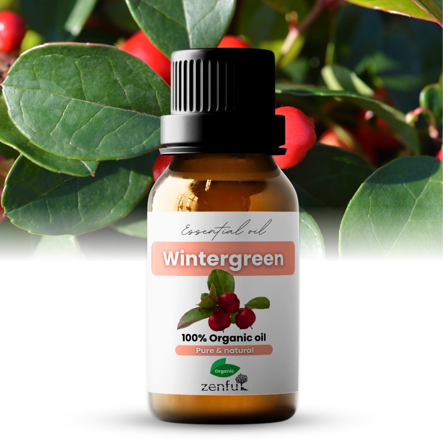 Wintergreen olie biologisch