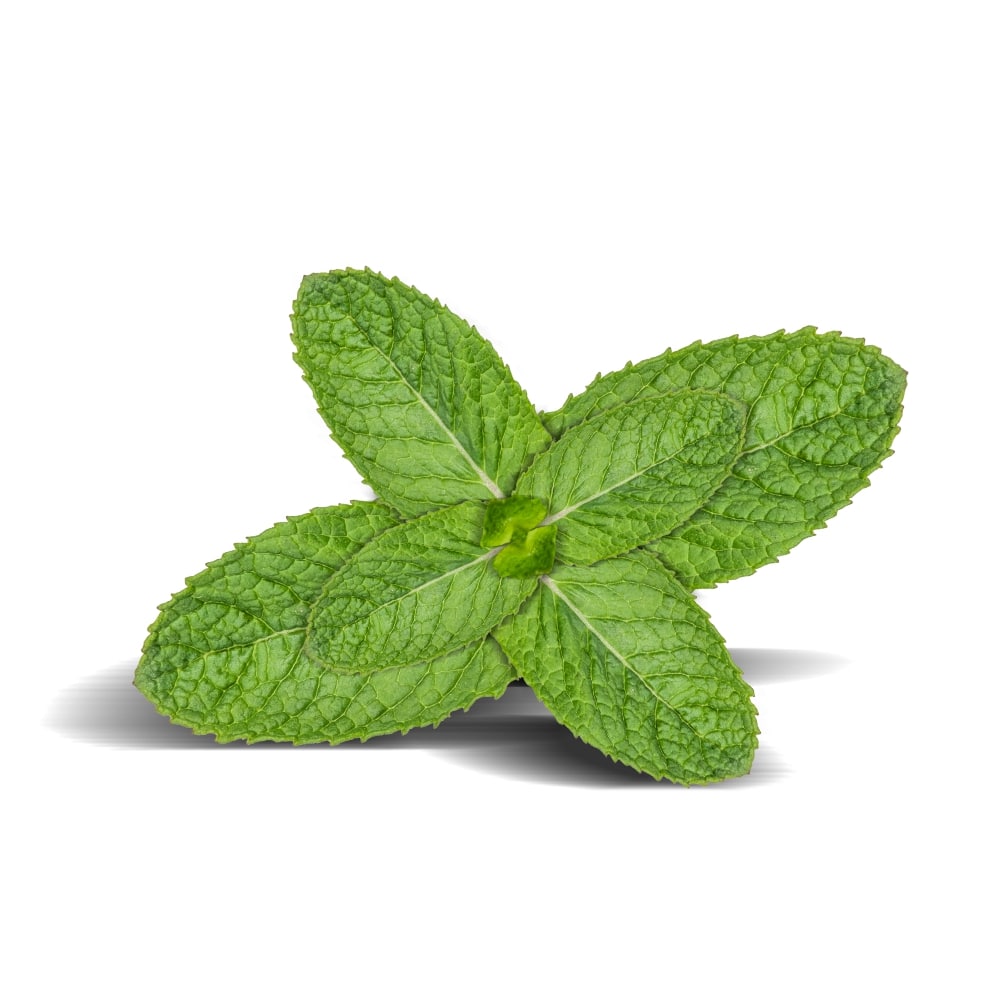 Biologische pepermuntolie