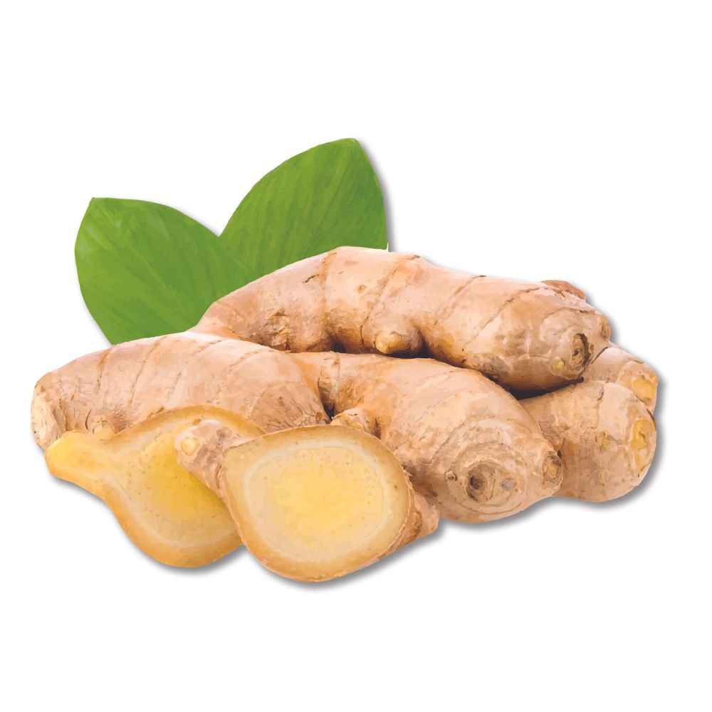 Ginger (root) essential oil organic