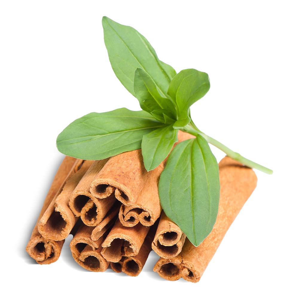 Kaneel (blad) olie biologisch 