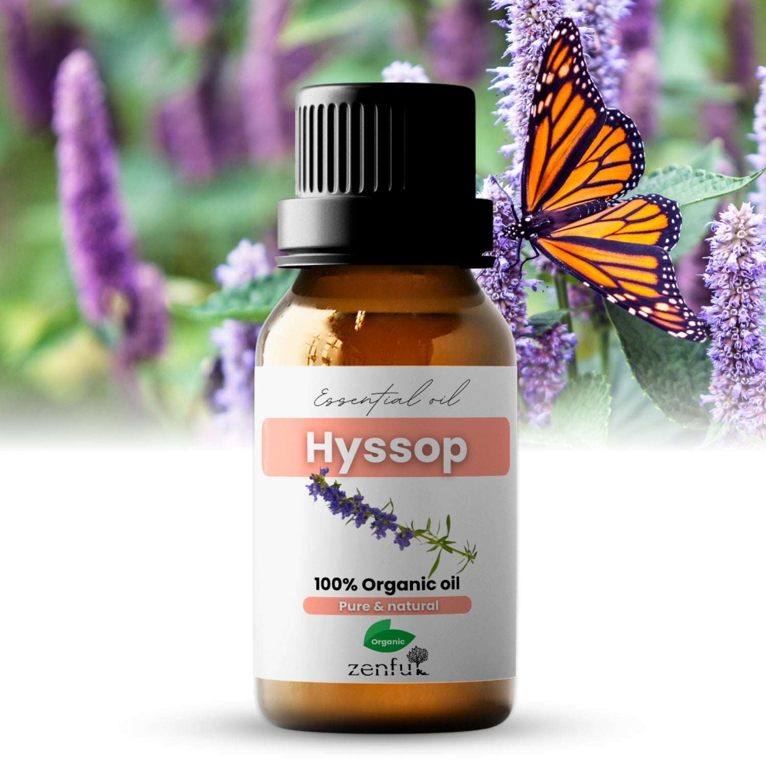 Hyssop essential oil organic