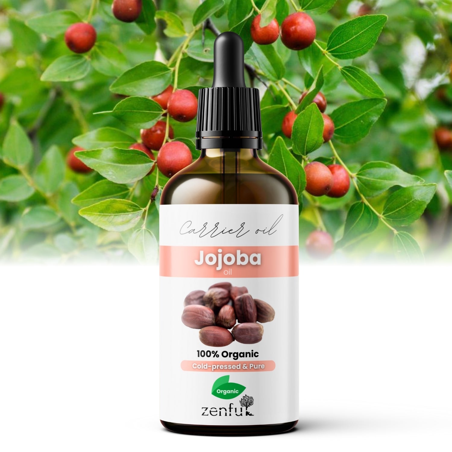 Jojoba oil | Organic, pure & cold-pressed