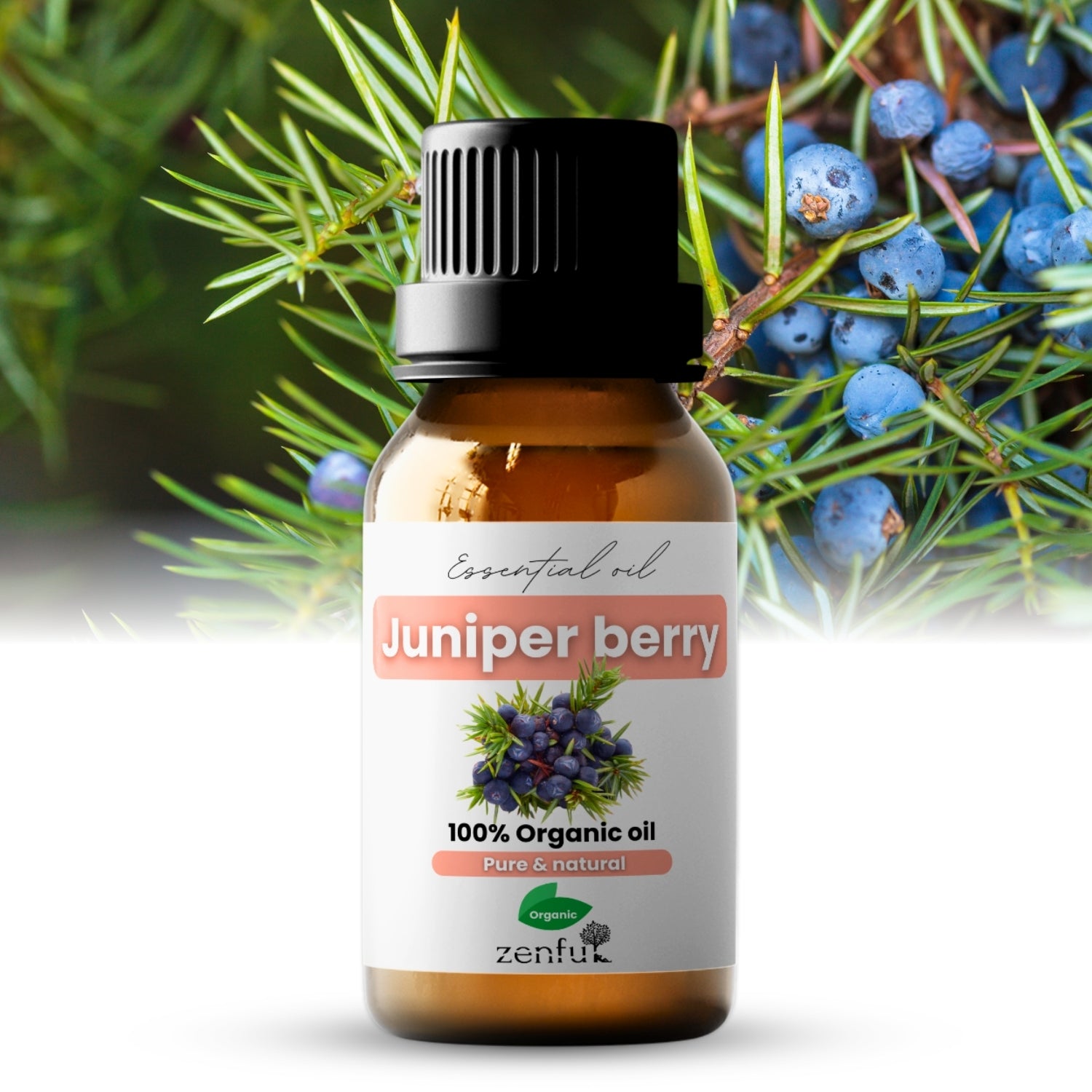 Juniper berry essential oil organic