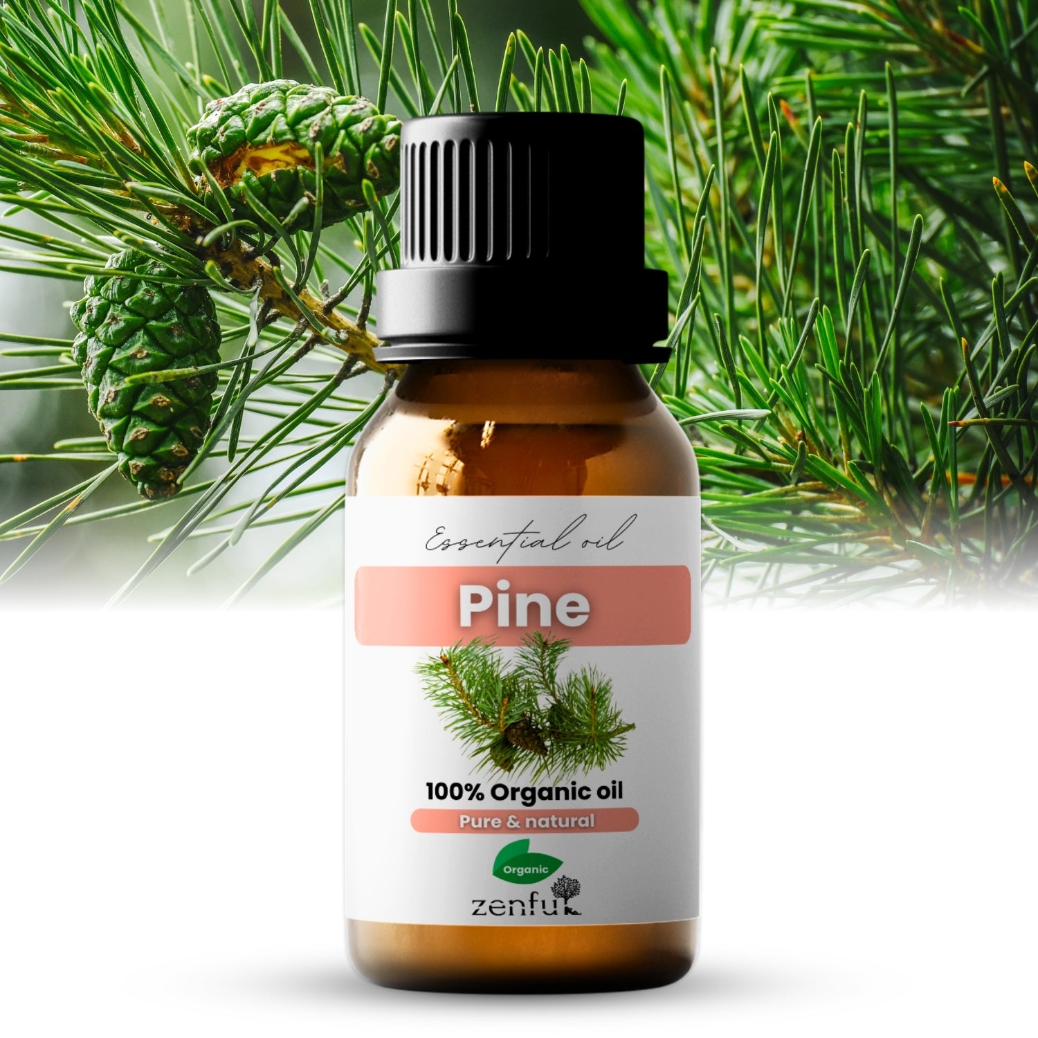 Pine essential oil organic