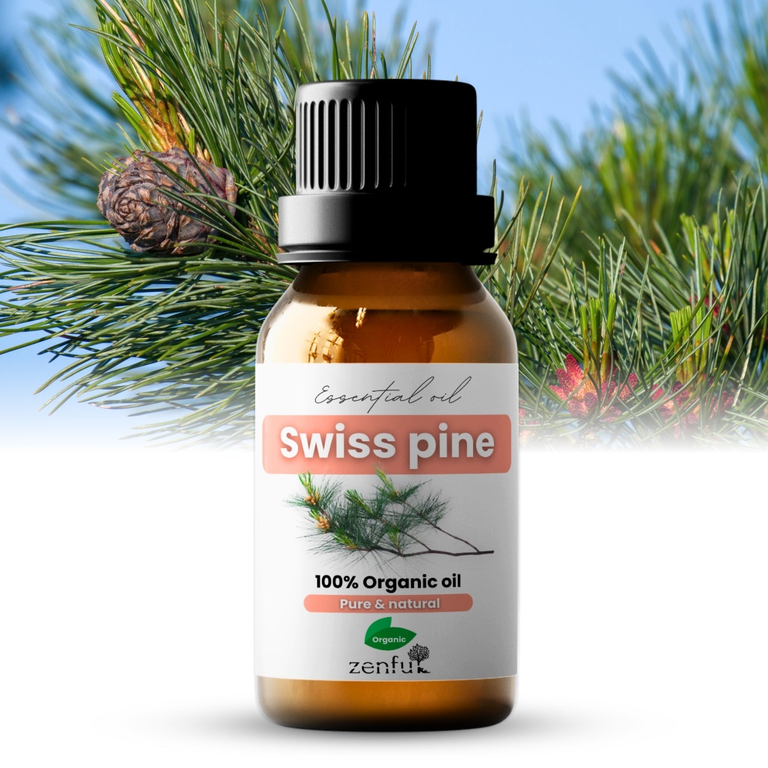 Swiss stone pine essential oil organic