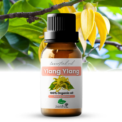 Biologische etherische olie van ylang-ylang 