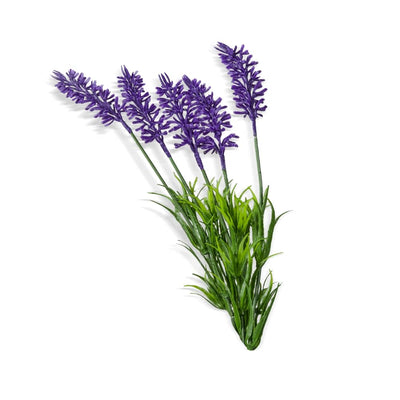 Lavendel (Lavandin) etherische olie biologisch 