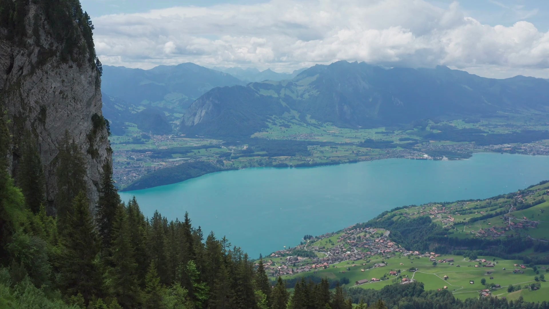 Sweet almond oil | Organic, pure & cold-pressed – Zenful